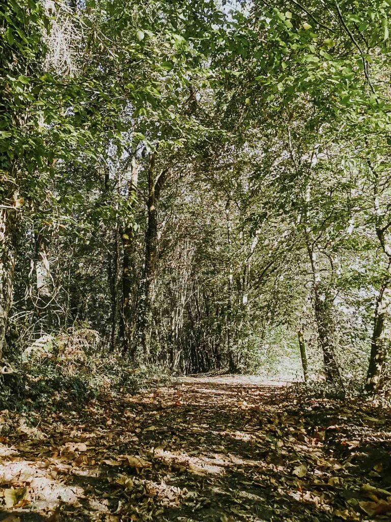 La ferme de noix et viande d'agneau en lisière de la forêt de la Double en Dordogne